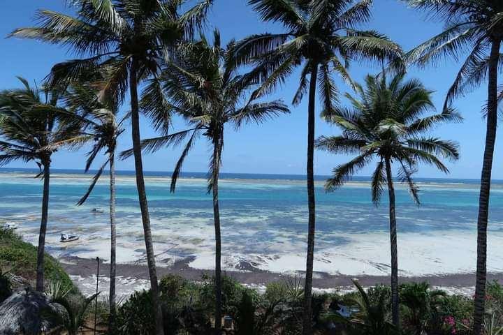 Mombasa Beach Hotel Nature photo
